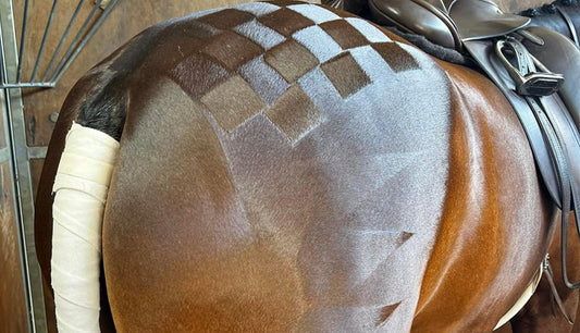 How to do Quarter Marks on your Horse