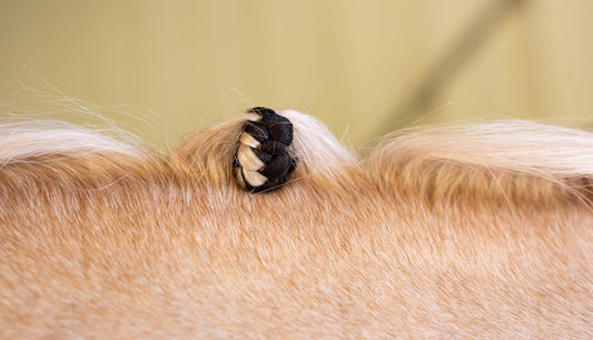 How to colour match and use 'Fake It' Mane and Tail Enhancements