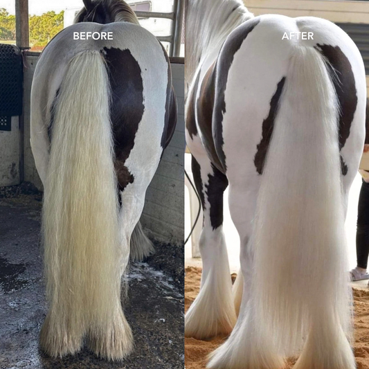 Horse Purple Hair Repair Treatment