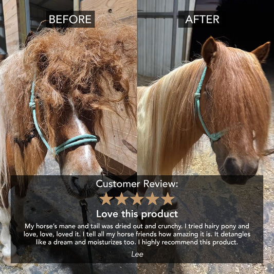 2 in 1 Detangle & Shine Spray