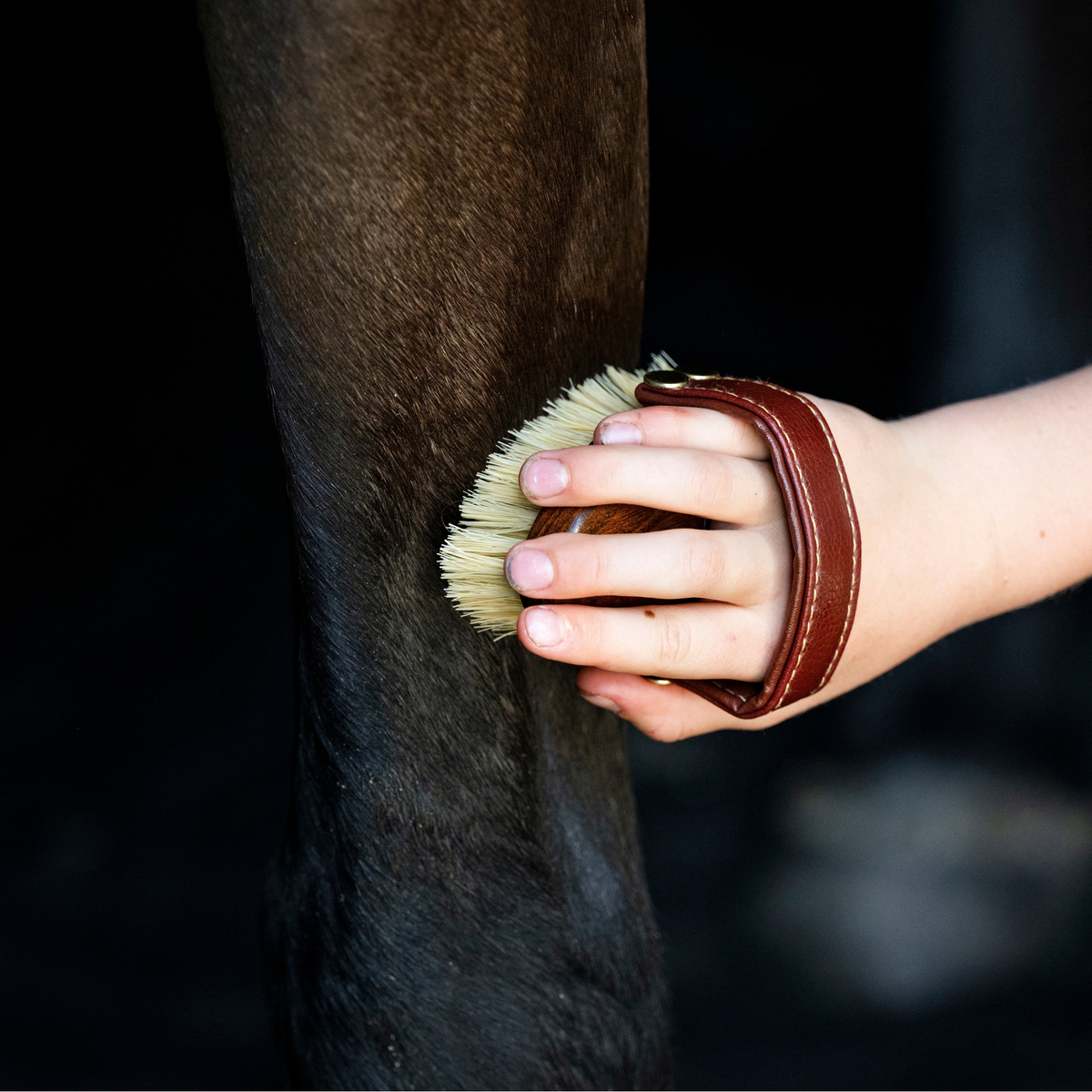 Mini Mud Brush