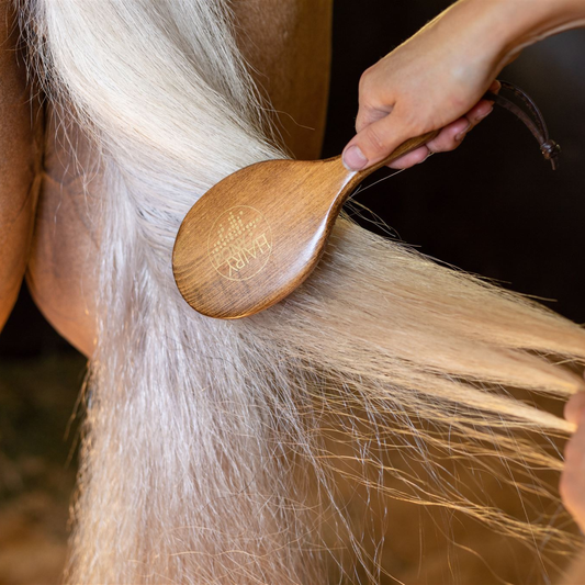 Mane and Tail Brush
