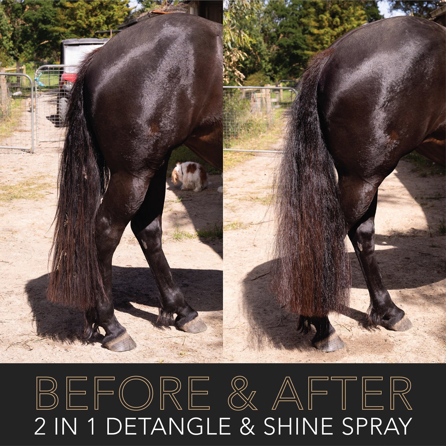 2 in 1 Detangle & Shine Spray - Original