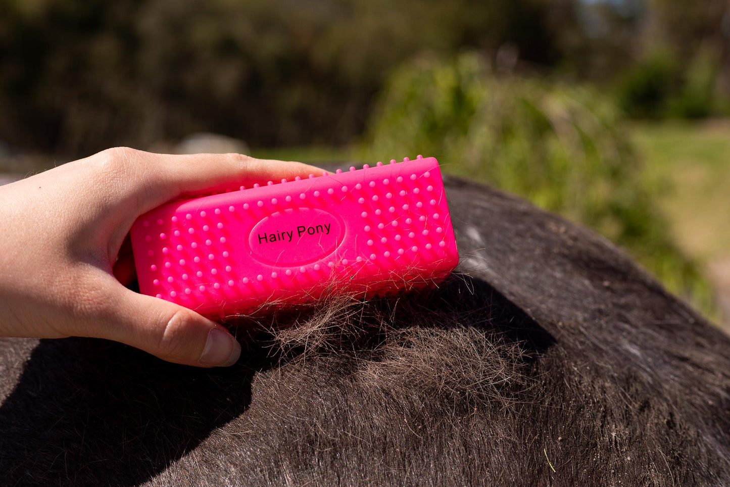 Scratch and Dent Grooming Block