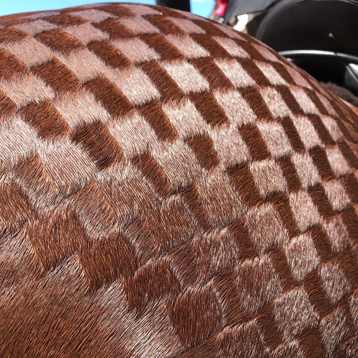 Quarter Mark Horse Spray