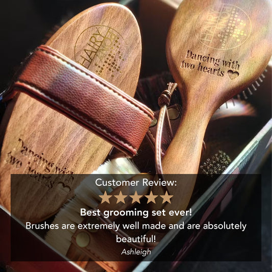 Original Brush Kit