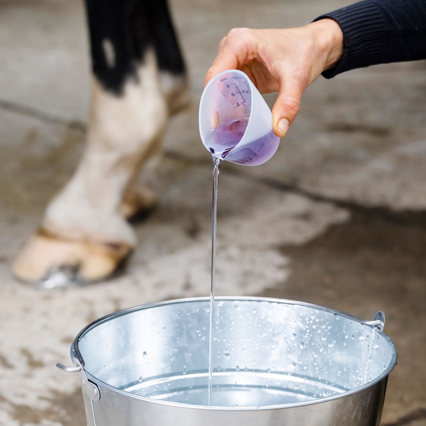 Essential Oil Coat Conditioner