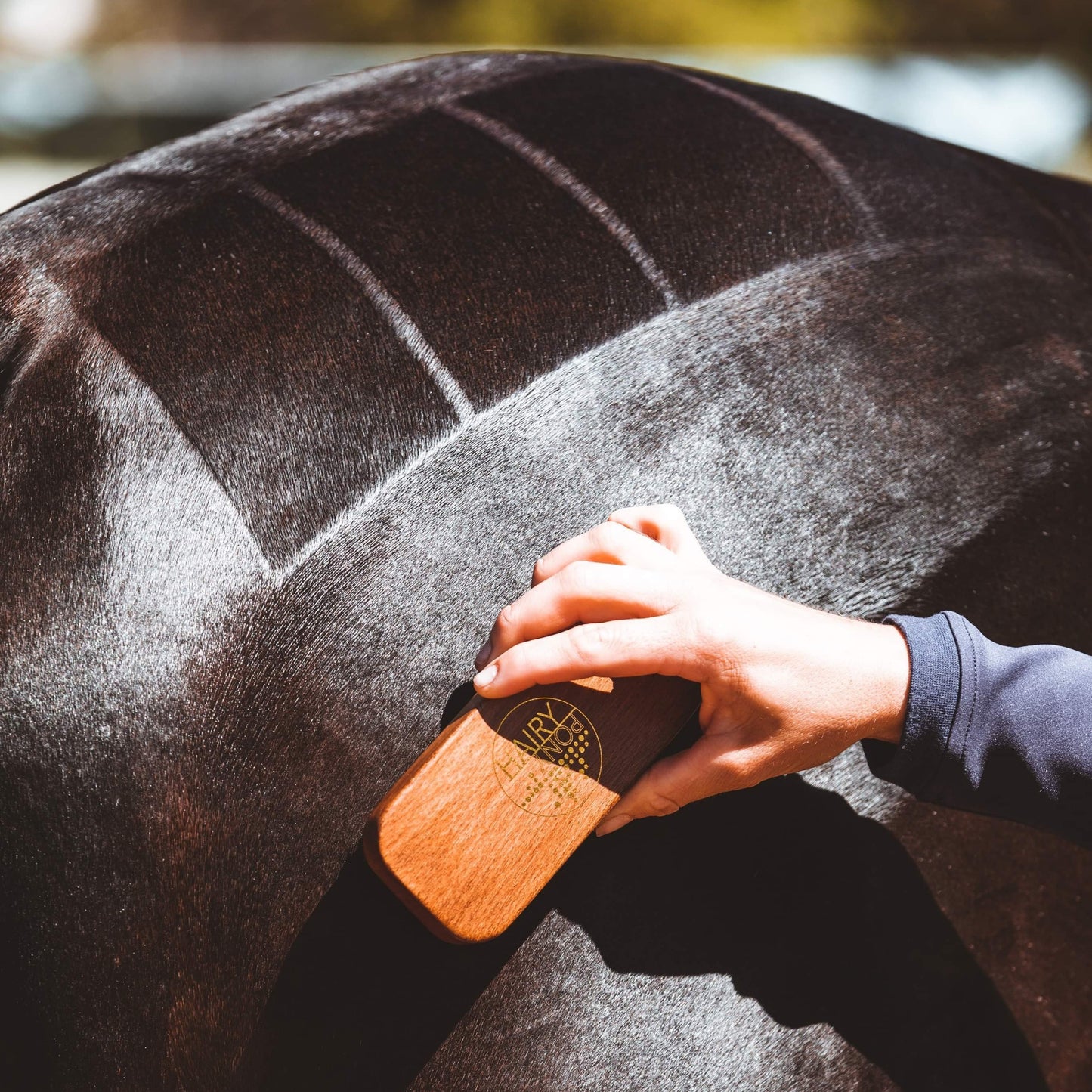 Horse rump with shiny quarter marks created using the Quarter Mark Horse Brush