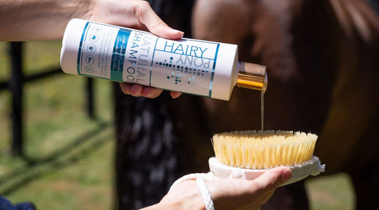 Why pH Balance Matters: The Truth About Horse Shampoos