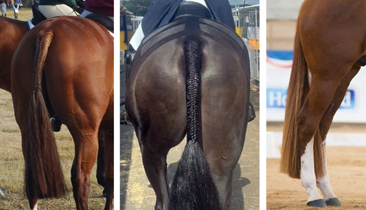 Tail Styling Across Disciplines: Dressage, Eventing, and Showing