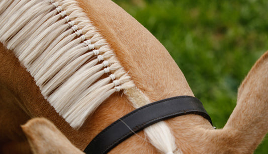 How to do Western Mane Banding