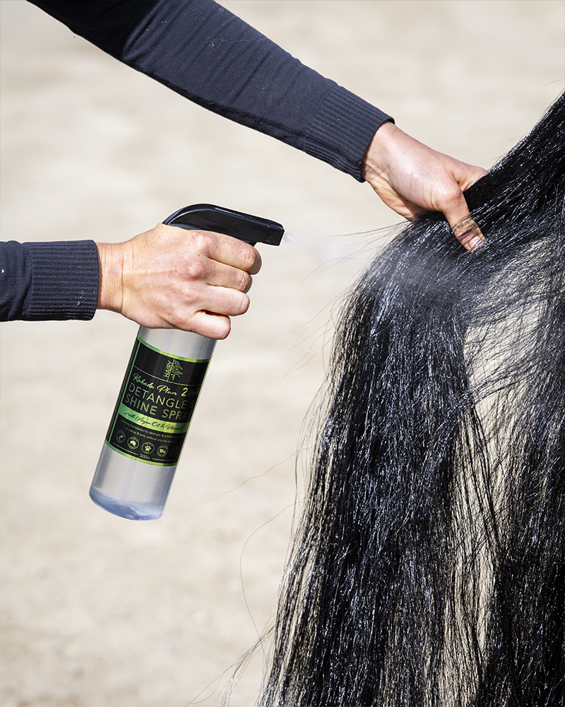 Conditioners & Treatments