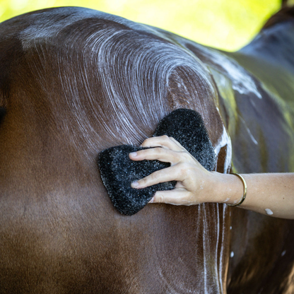Compressed Scrubbing Sponge