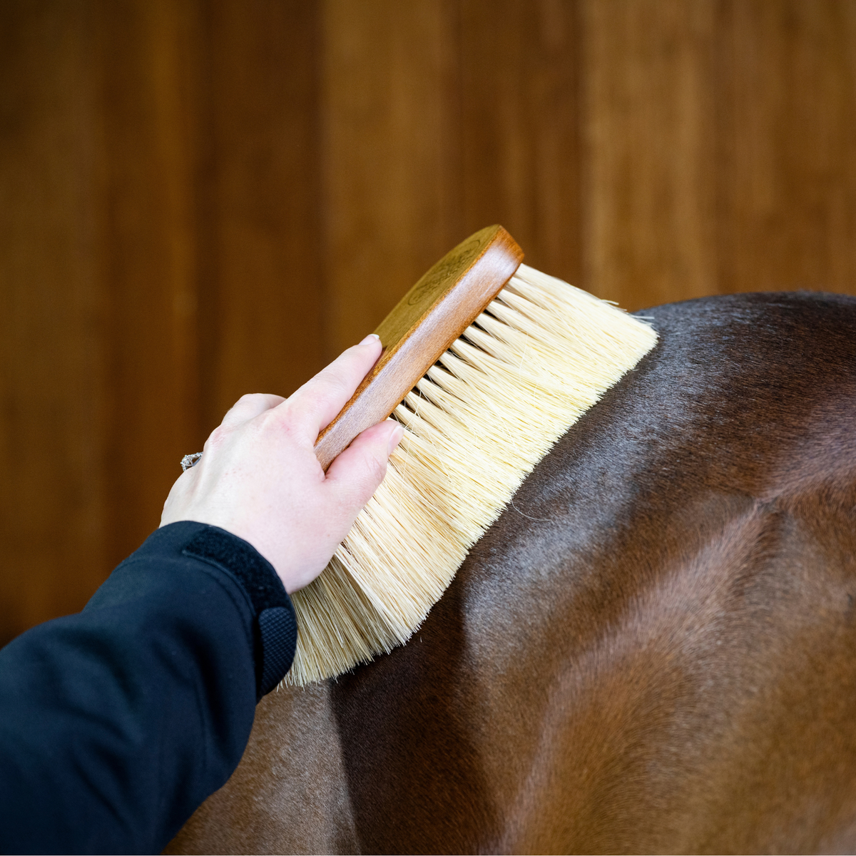 Brush Collection
