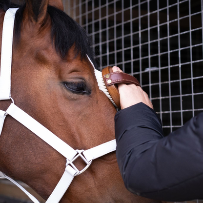 Face Brush