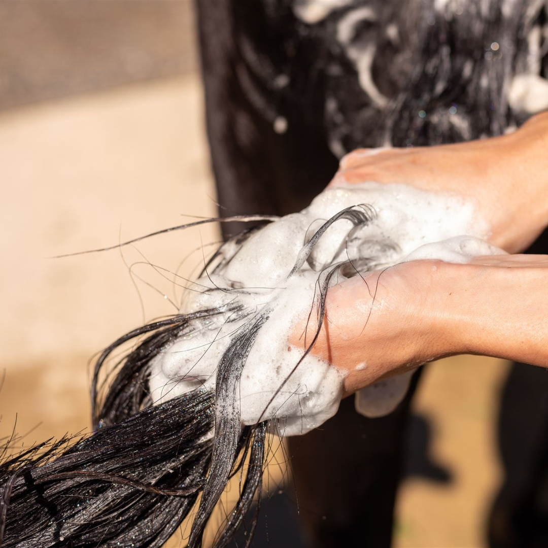 Natural Horse Shampoo - Kakadu Plum