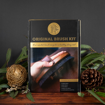 Original Brush Kit