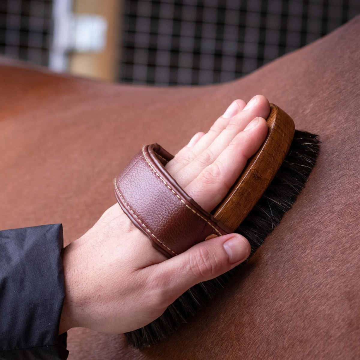 Body Brush