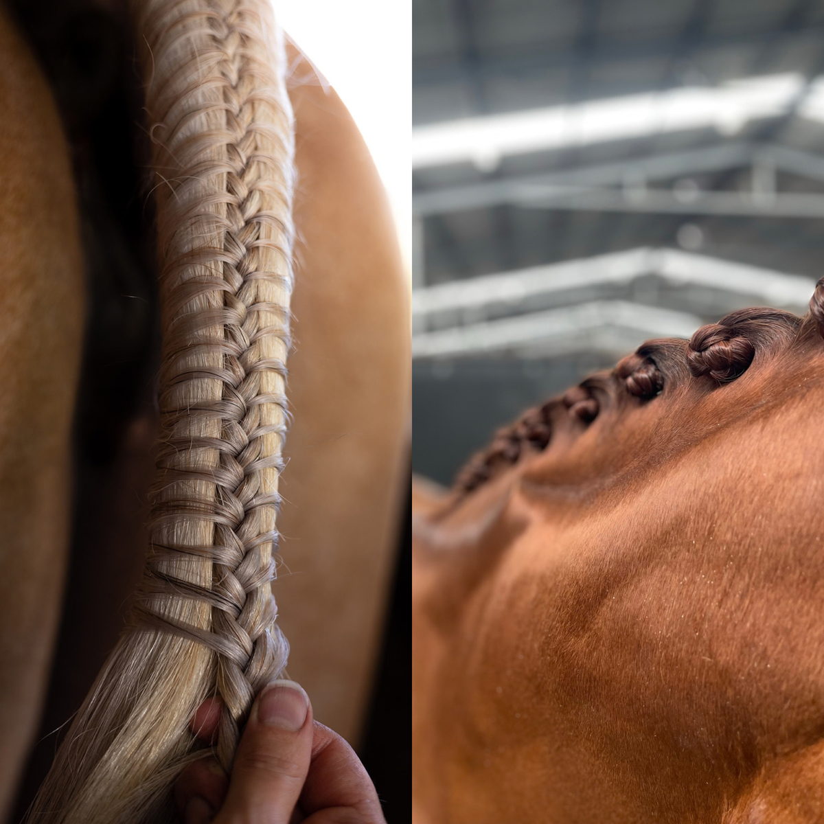 Plaiting Taming Wax