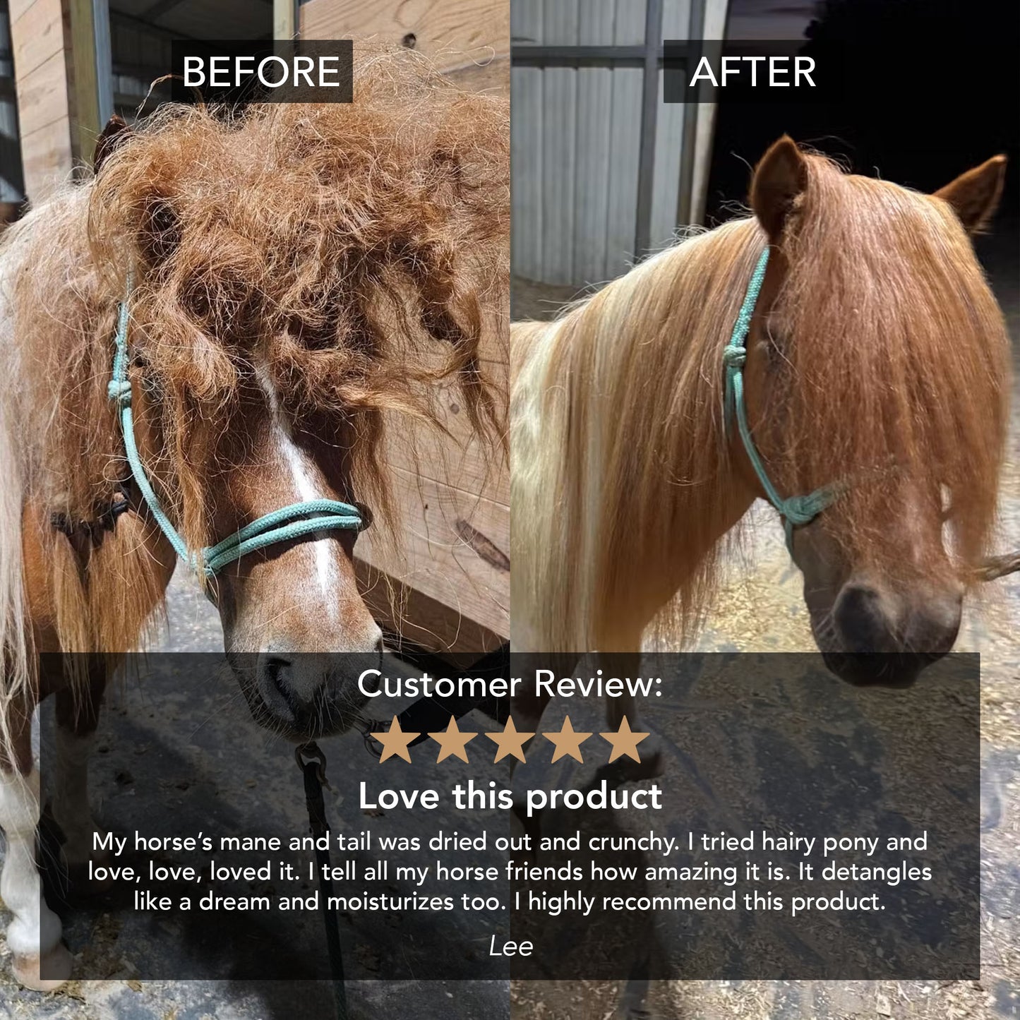 2 in 1 Detangle & Shine Spray