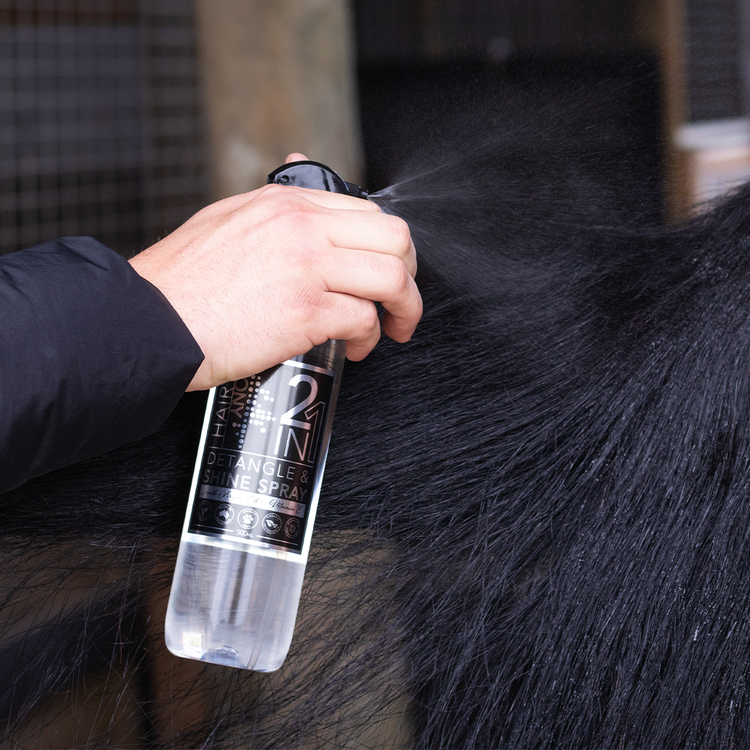 2 in 1 Detangle & Shine Spray