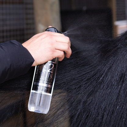 2 in 1 Detangle & Shine Spray