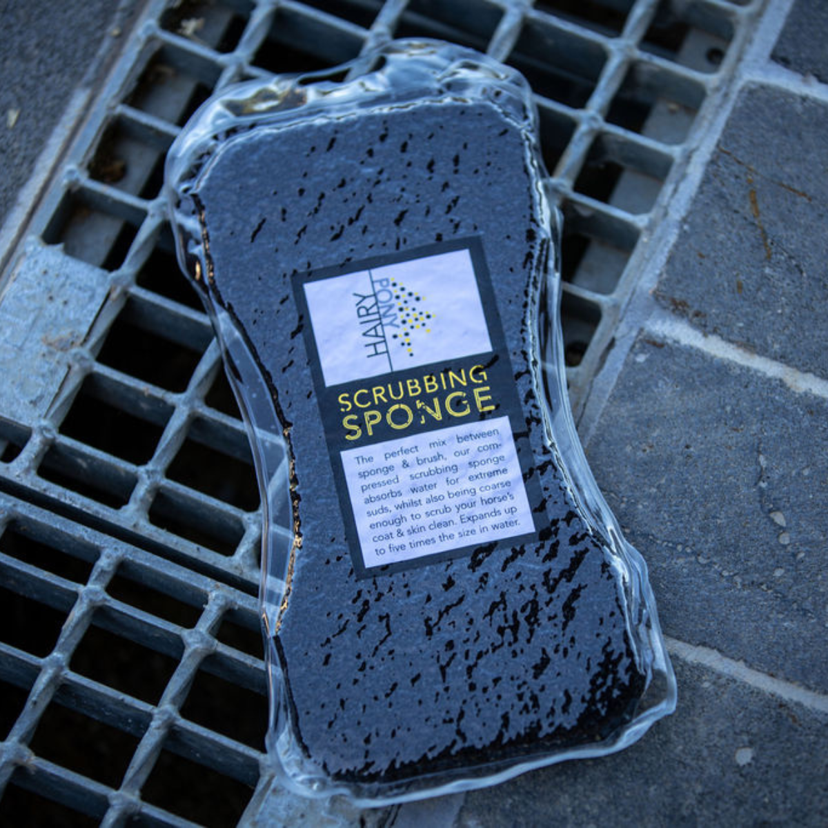 Compressed Scrubbing Sponge