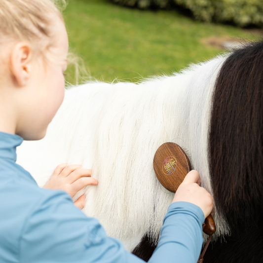 Mini Mane & Tail Horse Brush