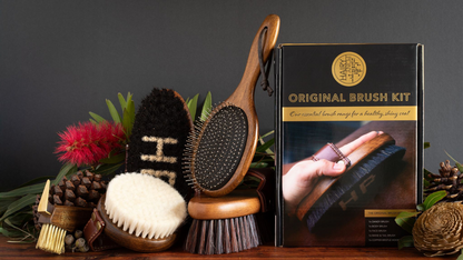 Original Brush Kit