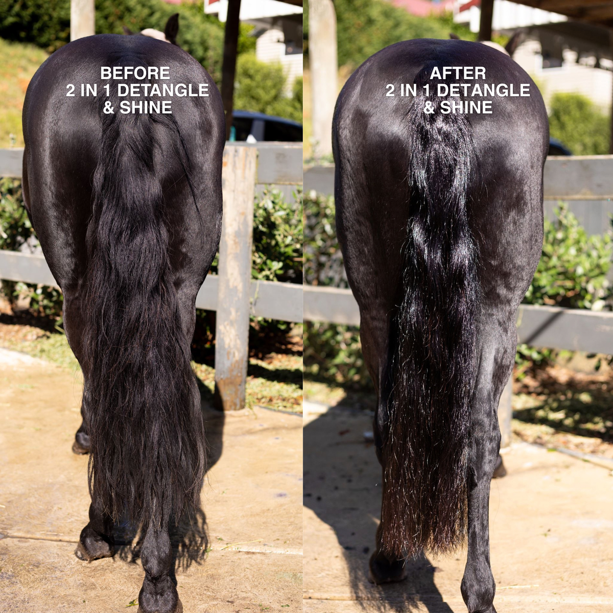 2 in 1 Detangle & Shine Spray