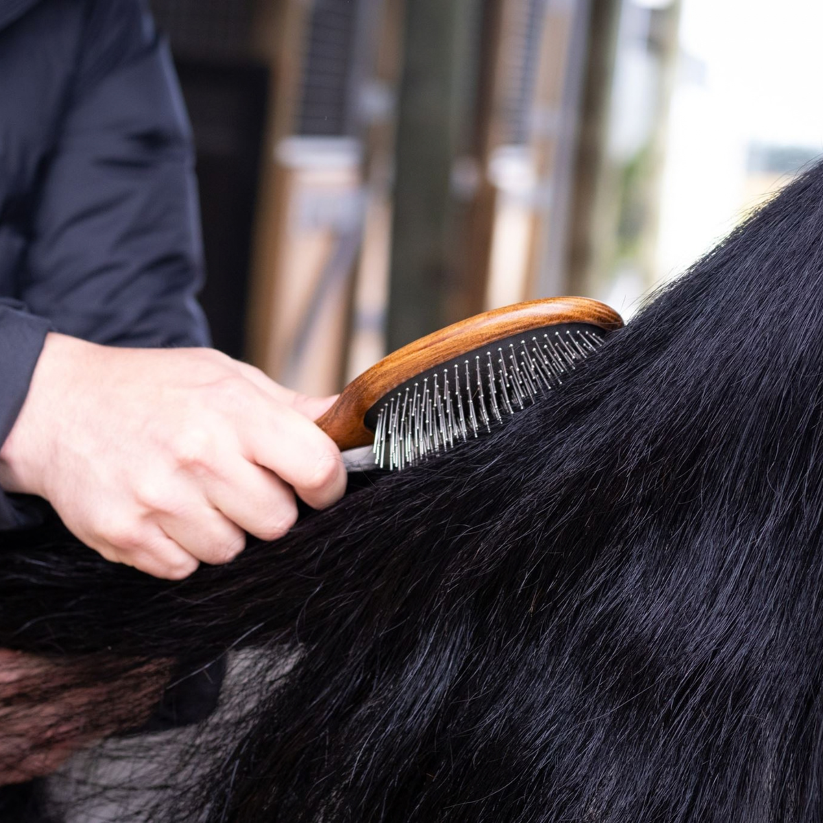 Mane and Tail Brush
