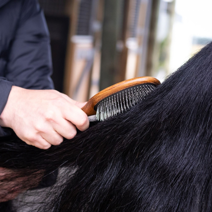 Mane and Tail Brush