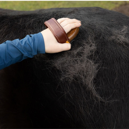 Mini Horse Rubber Brush