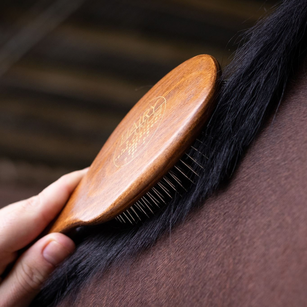 Mane and Tail Brush