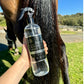 2 in 1 Detangle & Shine Spray - Original