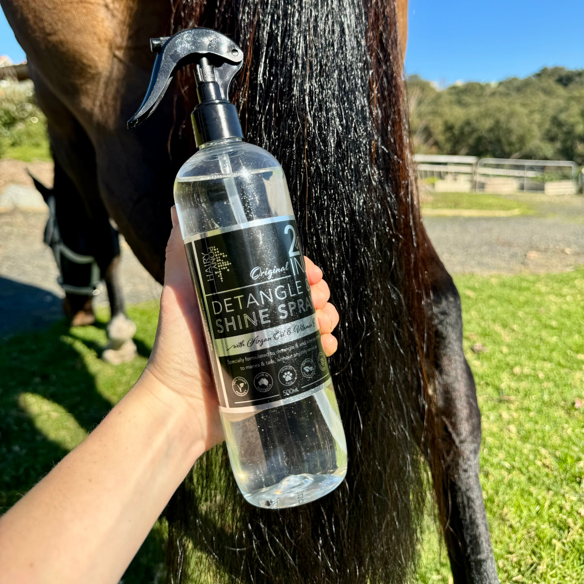 2 in 1 Detangle & Shine Spray