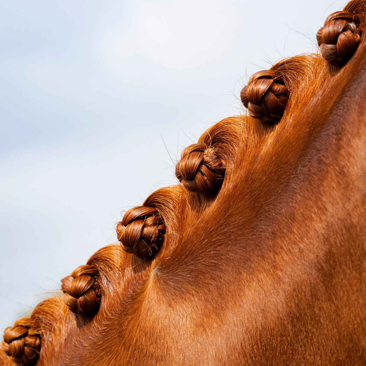 Plaiting Taming Wax