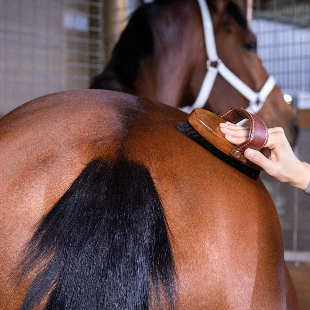 Essential Oil Coat Conditioner