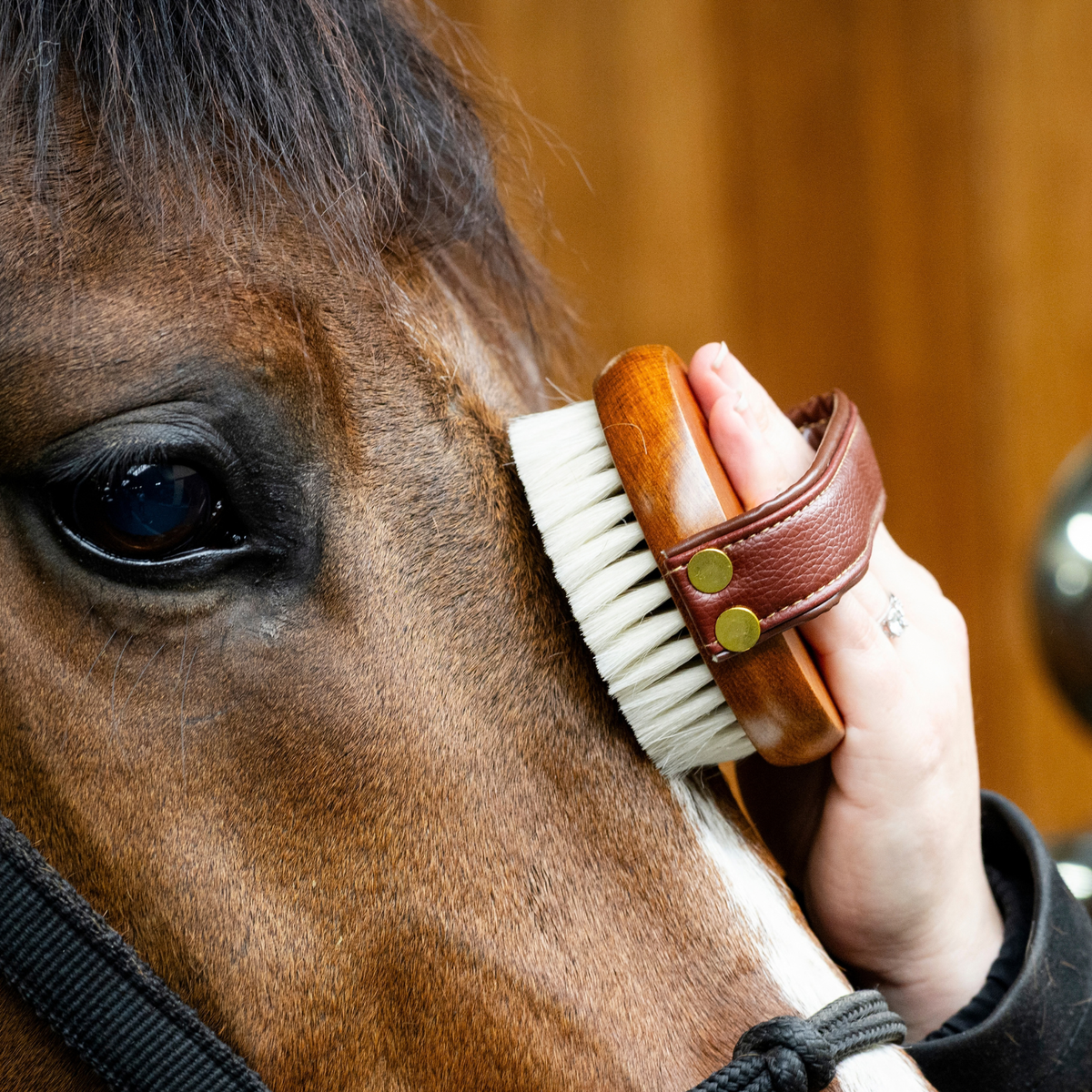Original Brush Kit