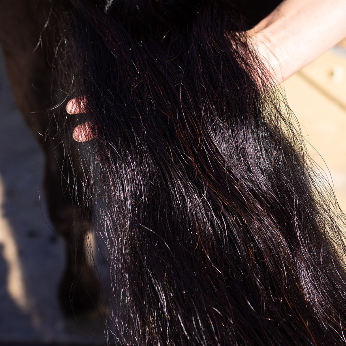 Hair Repair