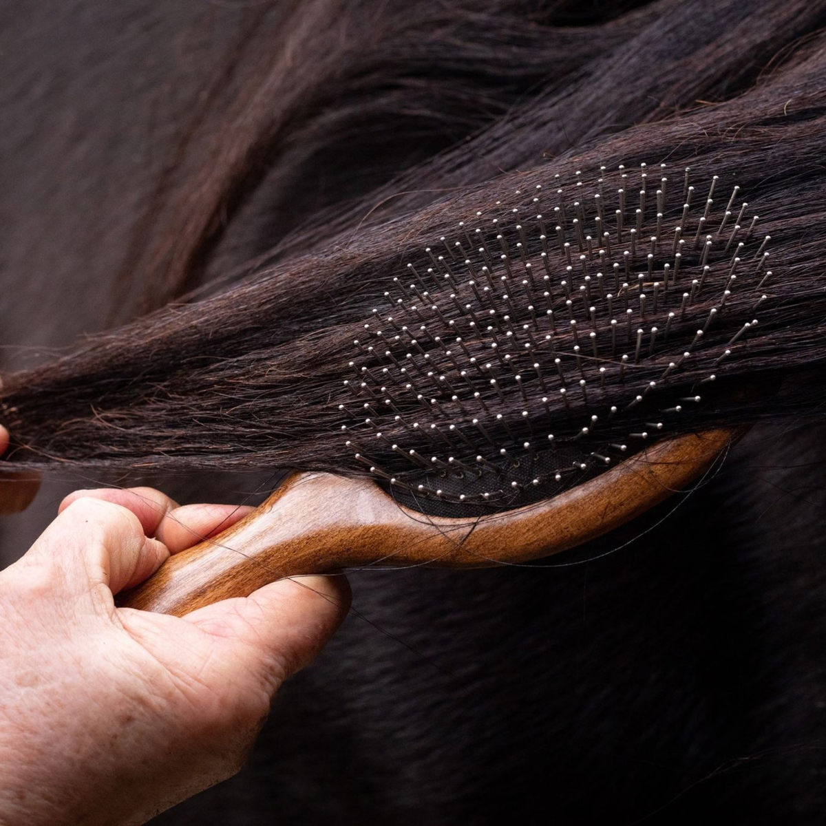 Mane and Tail Brush
