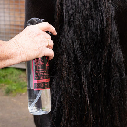 2 in 1 Detangle & Shine Spray - Watermelon