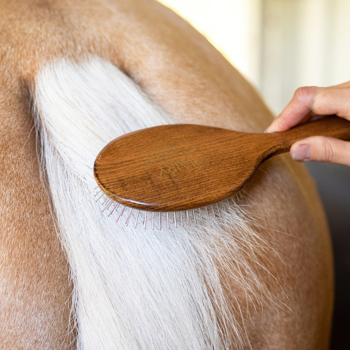 Mane and Tail Brush
