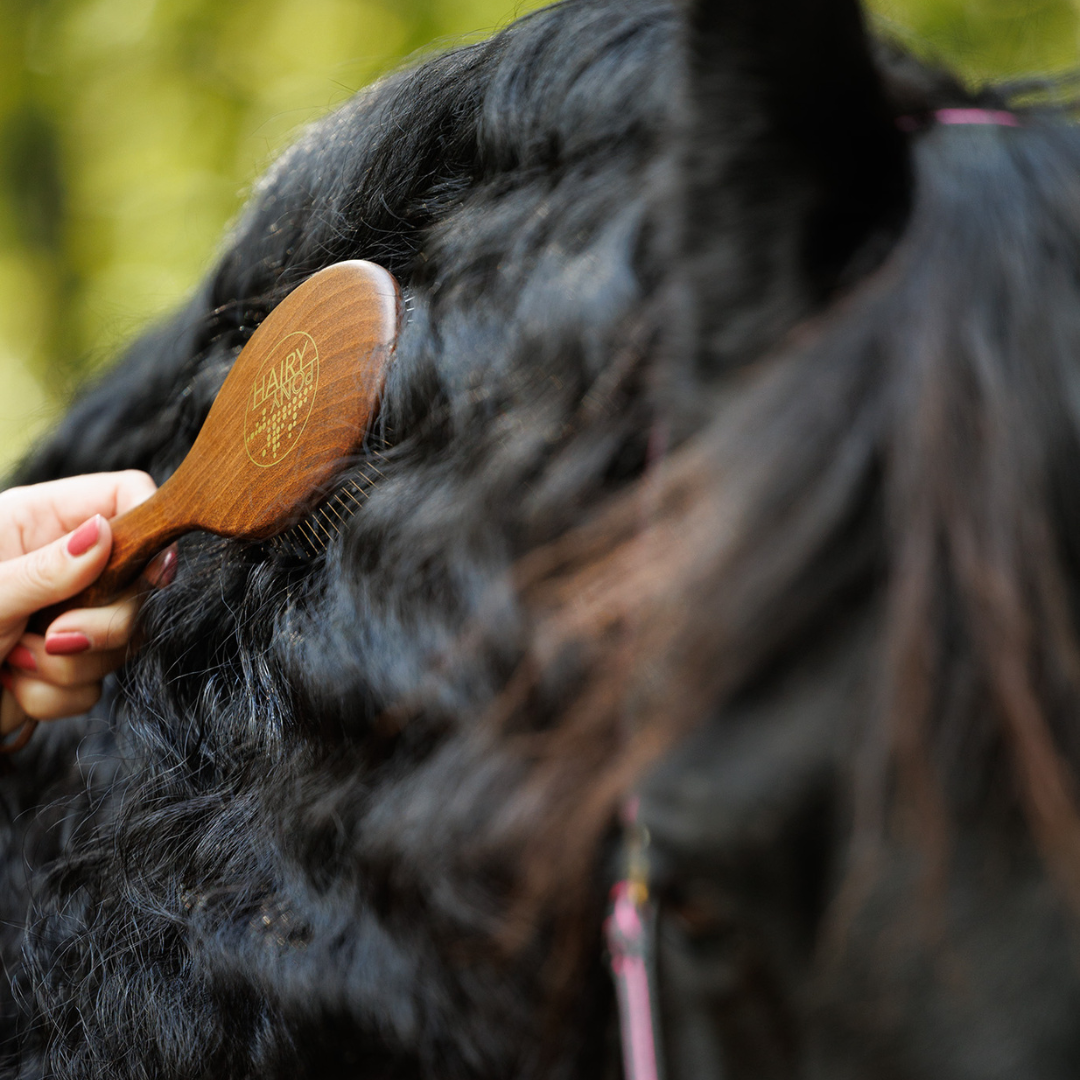 Mane and Tail Brush