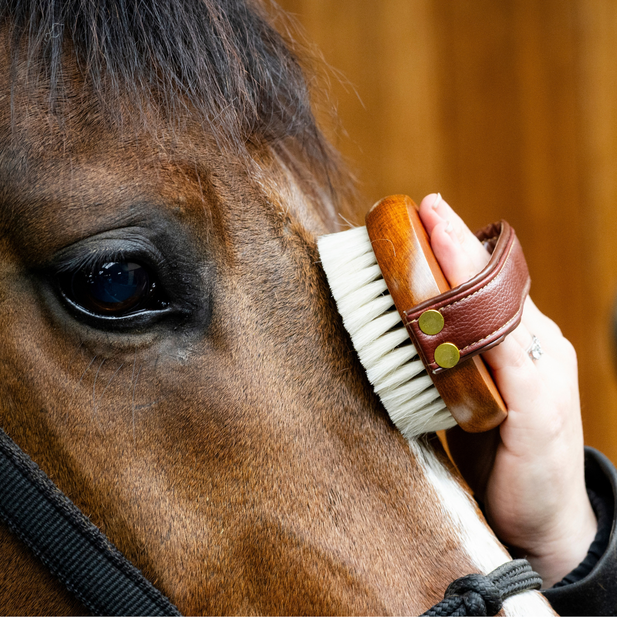 Face Brush