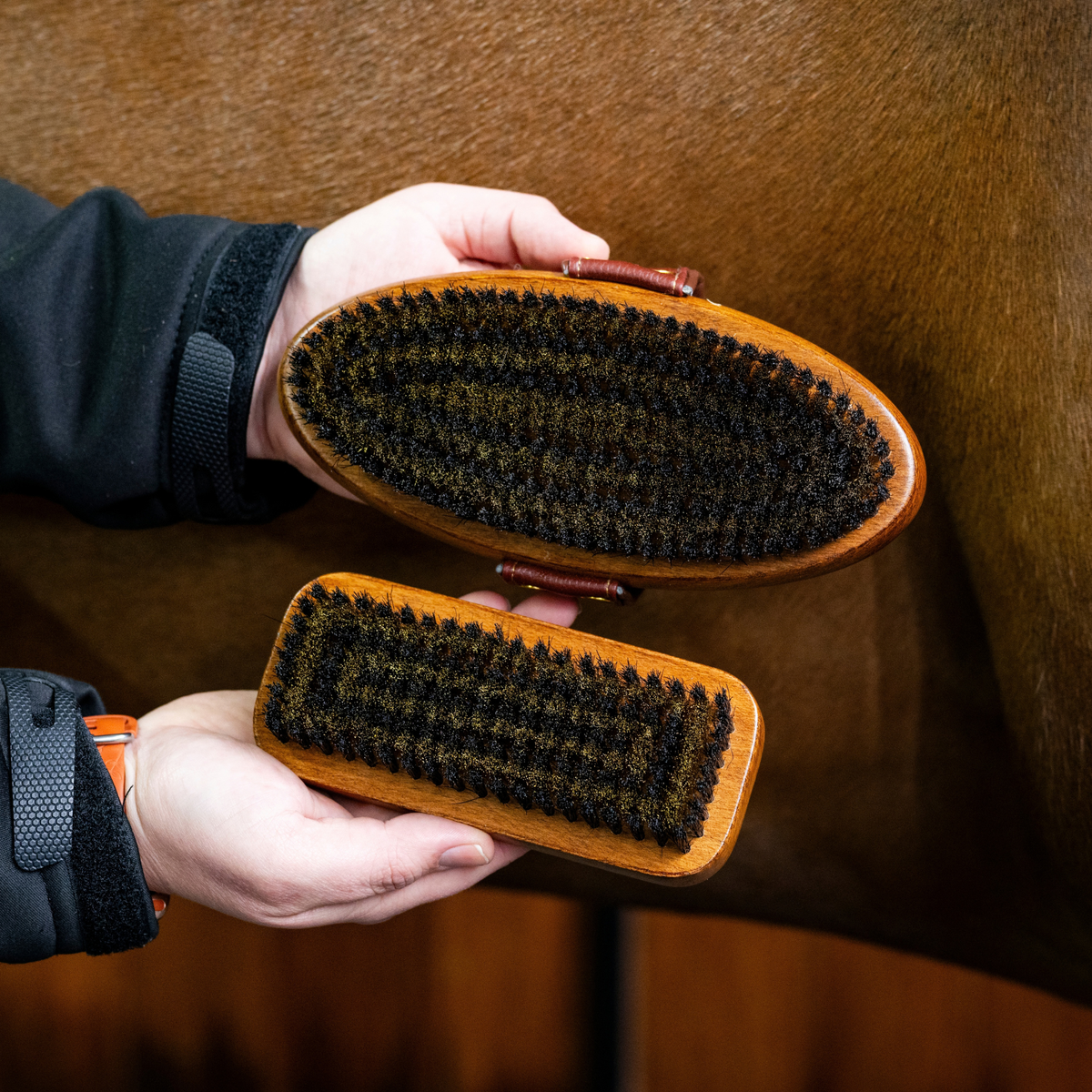 Brush Collection