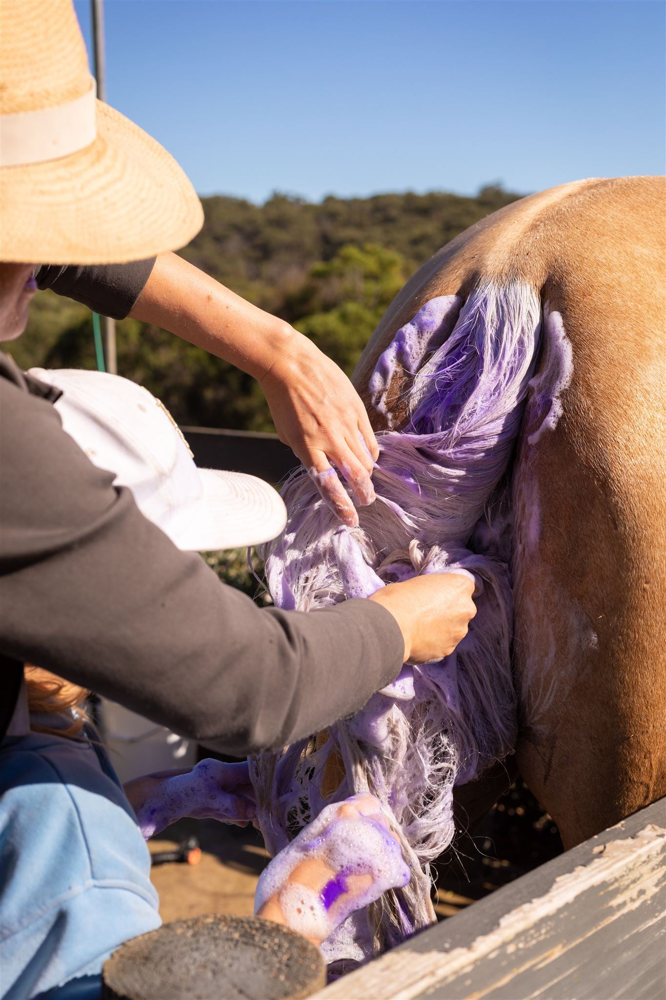 Hairy Pony Purple Horse Shampoo