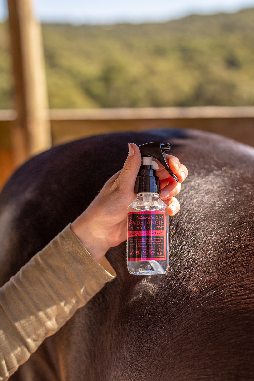 Horse Grooming Sample Set