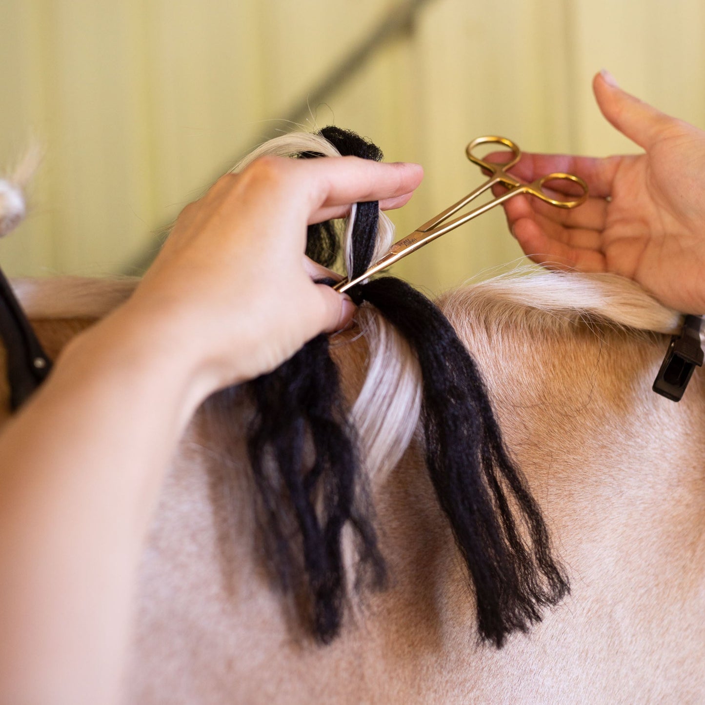 Scratch and Dent Fastening Scissors