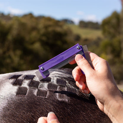 Quarter Mark Horse Spray